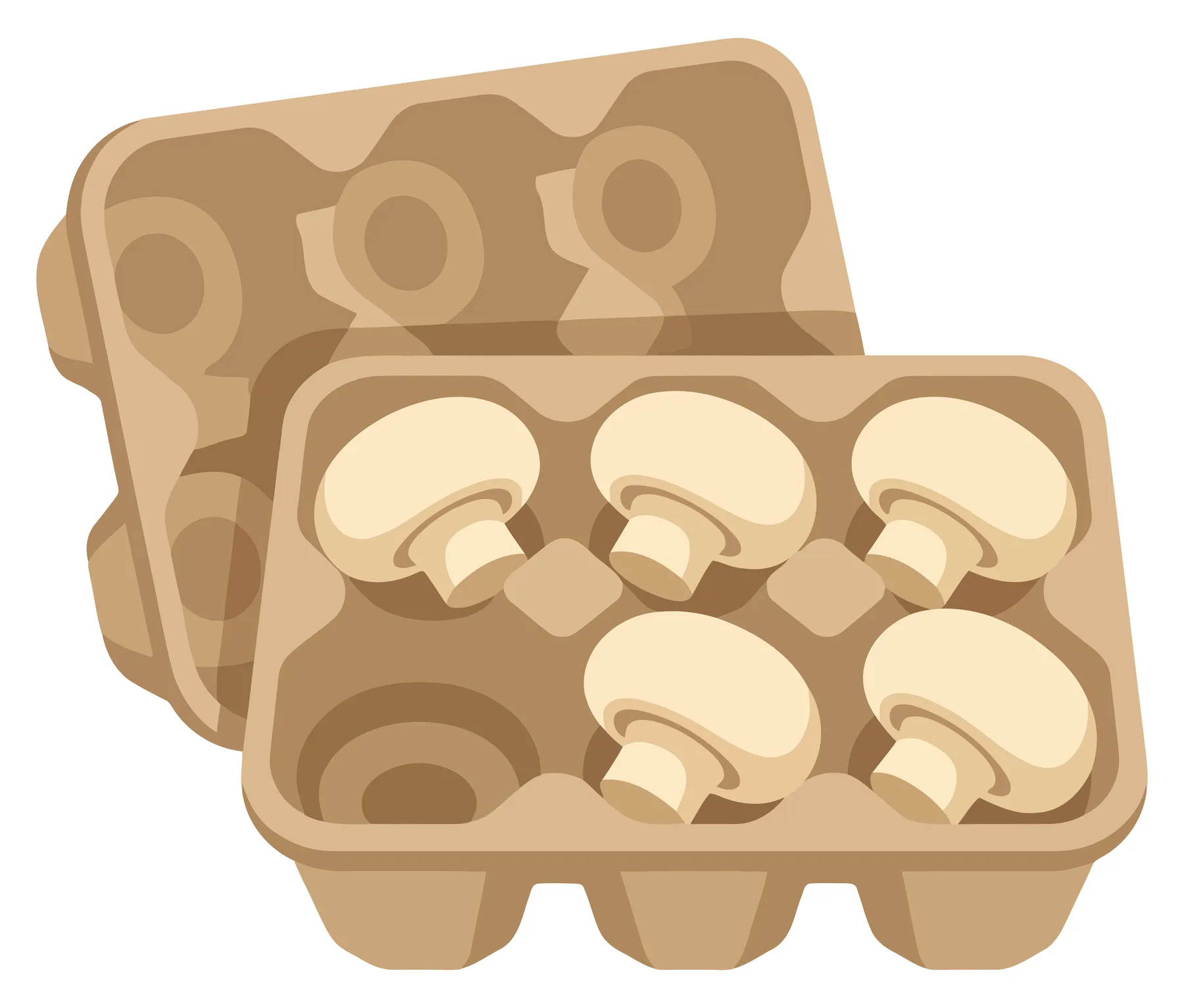 fresh white mushrooms in a cardboard container isolated on a white background