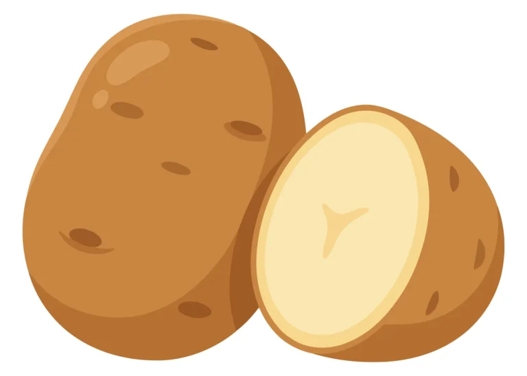 fresh whole and cut potato isolated on white background
