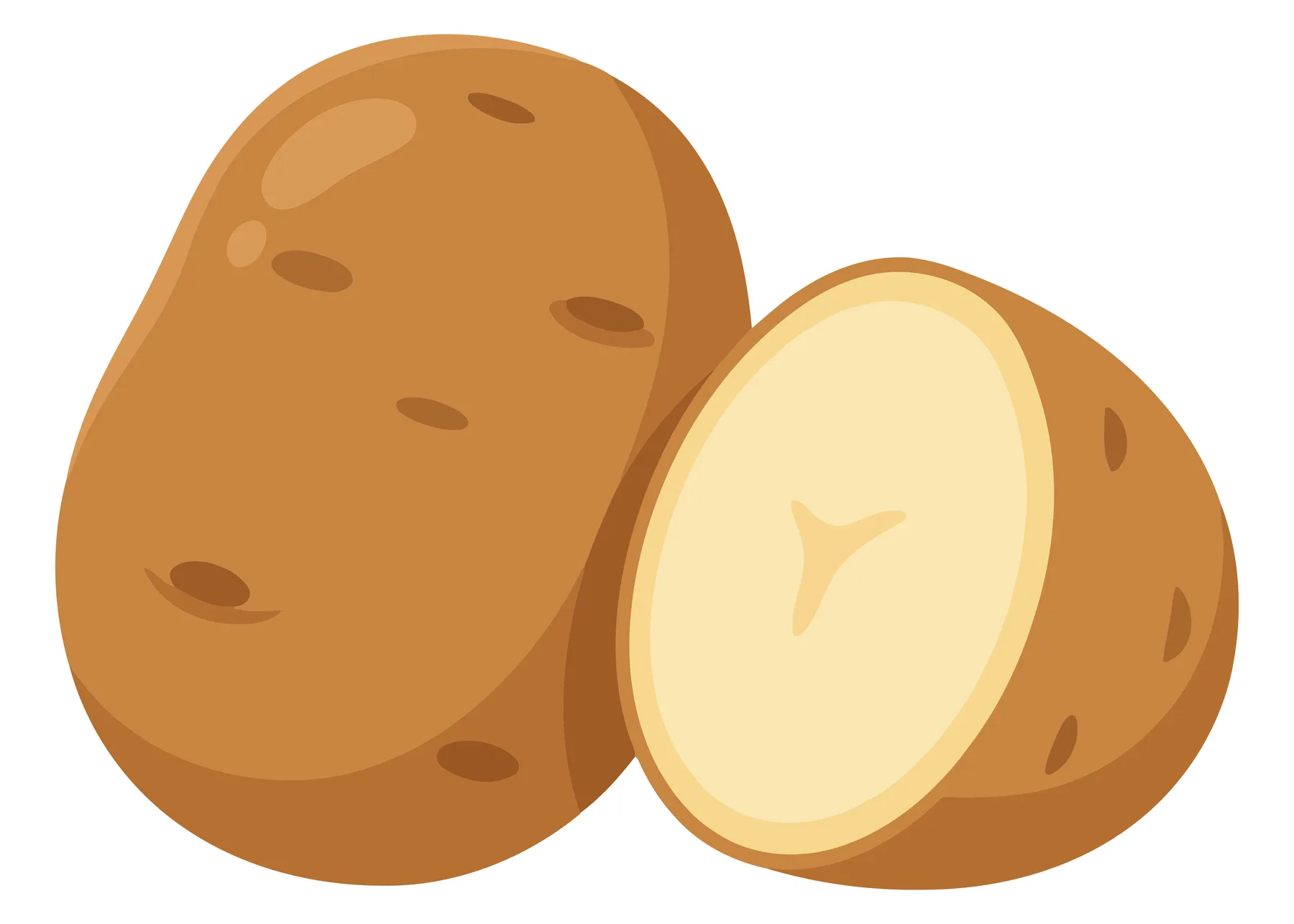 fresh whole and cut potato isolated on white background