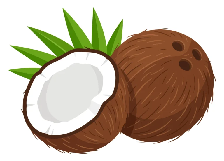 fresh whole and halved coconut with green leaves
