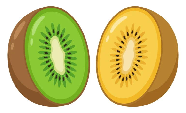 fresh whole and sliced green and gold kiwi fruit isolated on white background