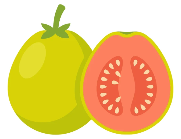 fresh whole and sliced guava fruit with pink pulp and seeds isolated on white background