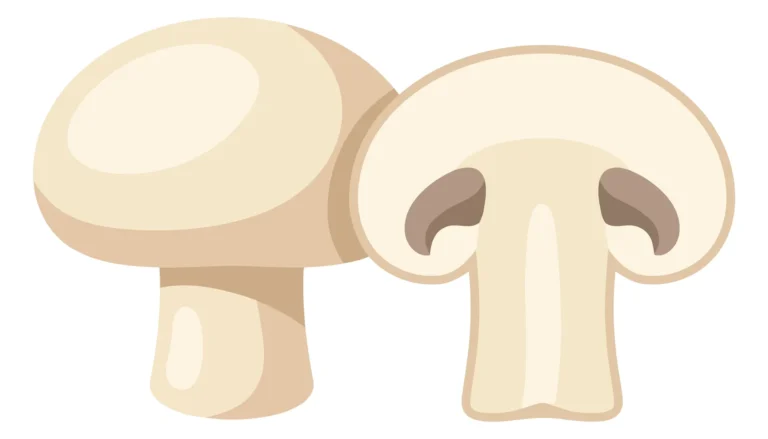 fresh whole and sliced white button mushrooms isolated on white background