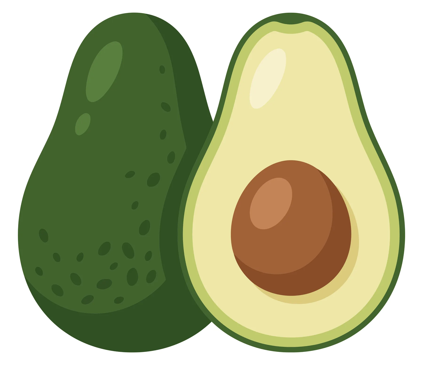 fresh whole avocado and a half with a pit isolated on white background