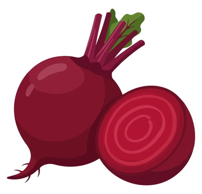 fresh whole beetroot with green leaves and a sliced half showing internal rings isolated on white background