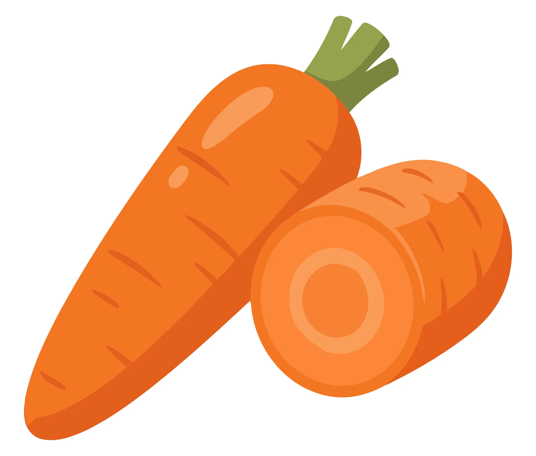 fresh whole carrot and a sliced piece isolated on white background