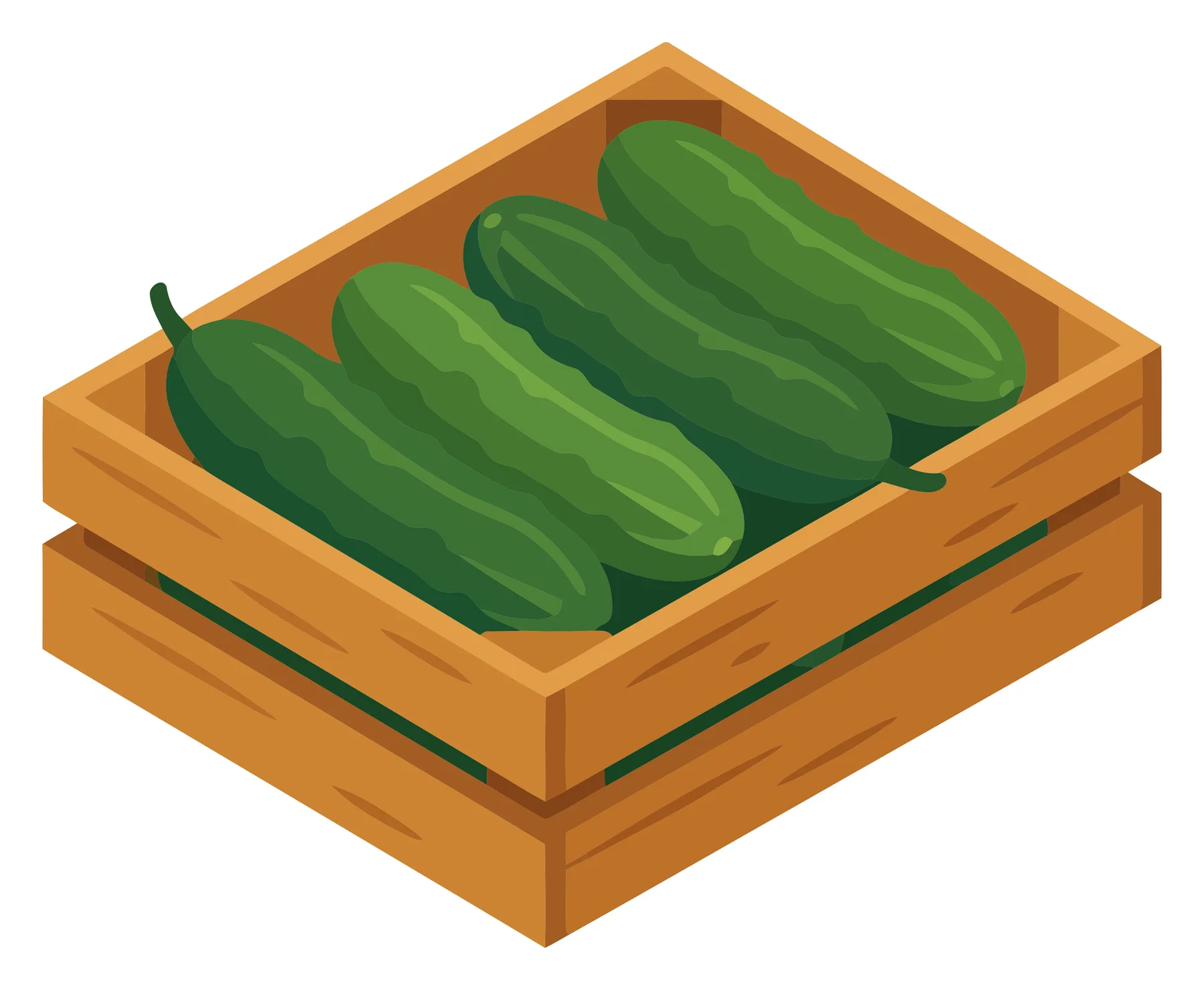 fresh whole cucumbers in a wooden crate isolated on white background