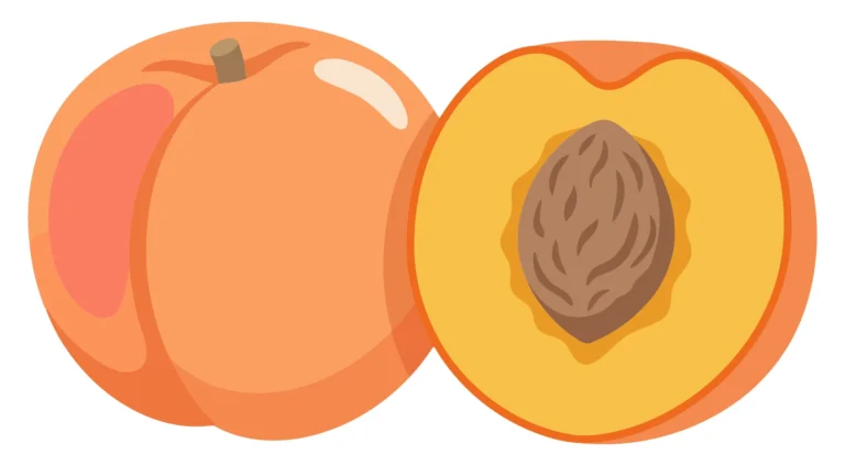 fresh whole peach and a half with pit isolated on white background