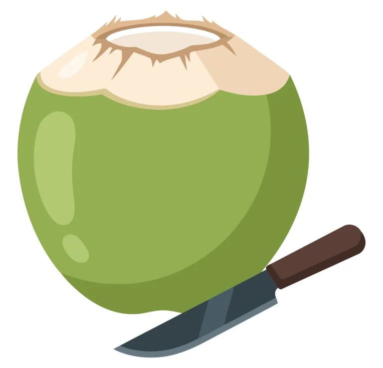 fresh young coconut with knife vector illustration