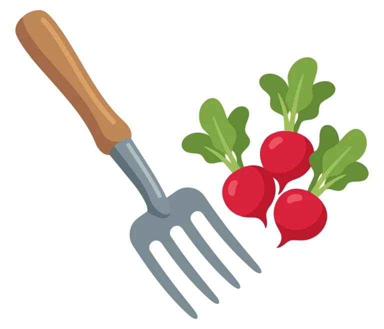 garden fork and fresh radishes isolated on white background