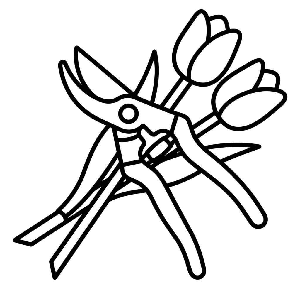 garden shears with two tulip flowers, black and white line art illustration
