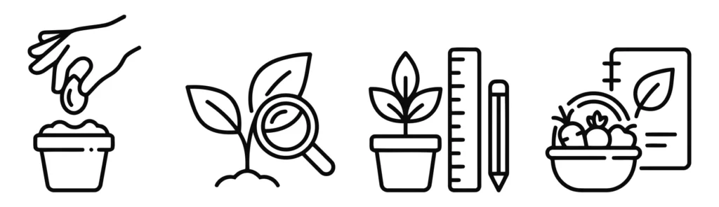 gardening process line icons including planting seeds, plant observation, growth measurement, and harvest recording