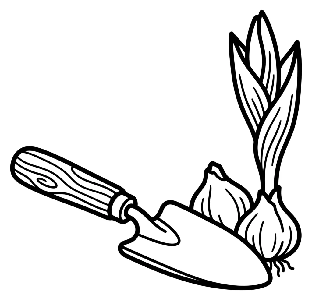 gardening tool trowel with flower bulbs and a sprouting plant, vector illustration