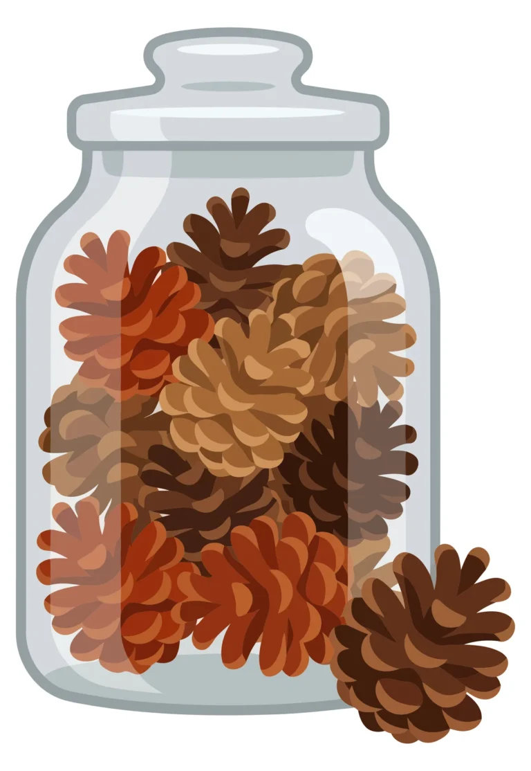 glass jar filled with pine cones and one cone outside isolated on white background