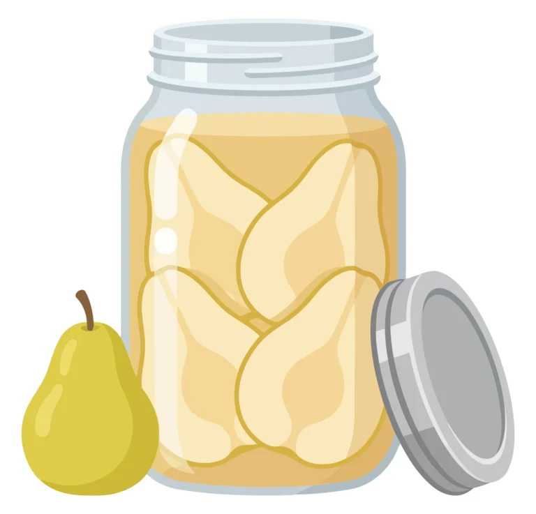 glass jar of canned pears with whole pear vector illustration