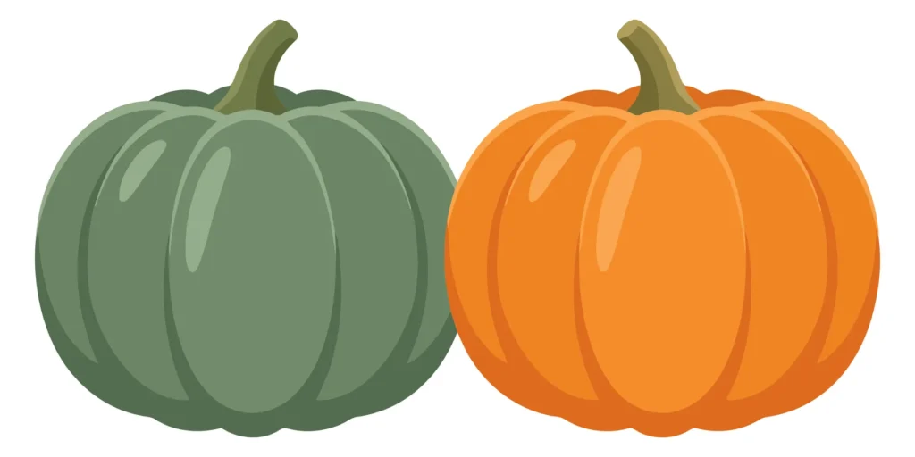 Green And Orange Pumpkins Isolated On White Background green and orange pumpkins isolated on white background