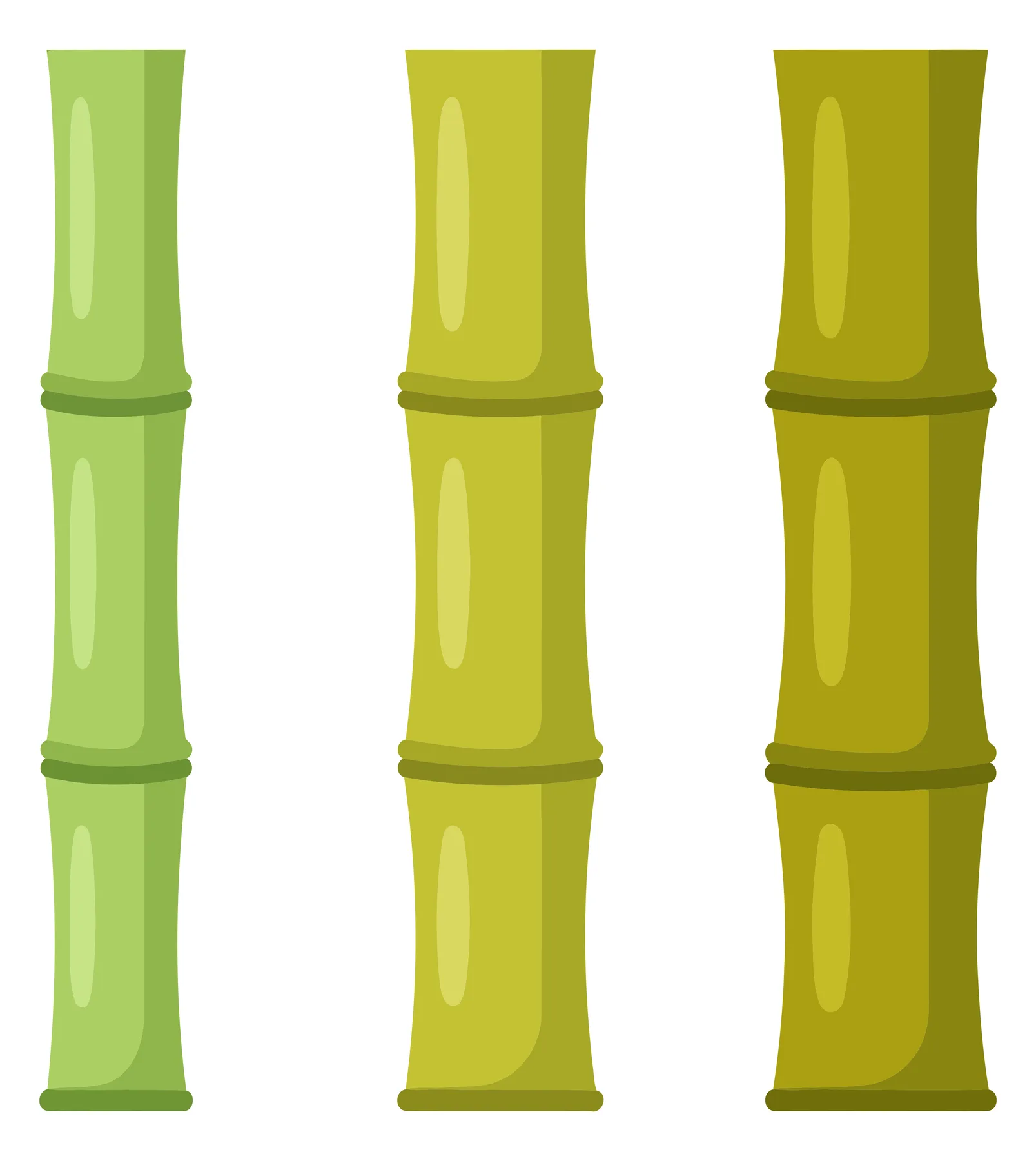 green bamboo stalks collection vector illustration isolated on white background