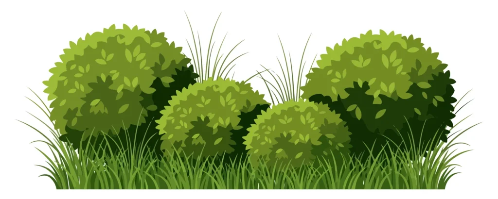 green bushes and grass
