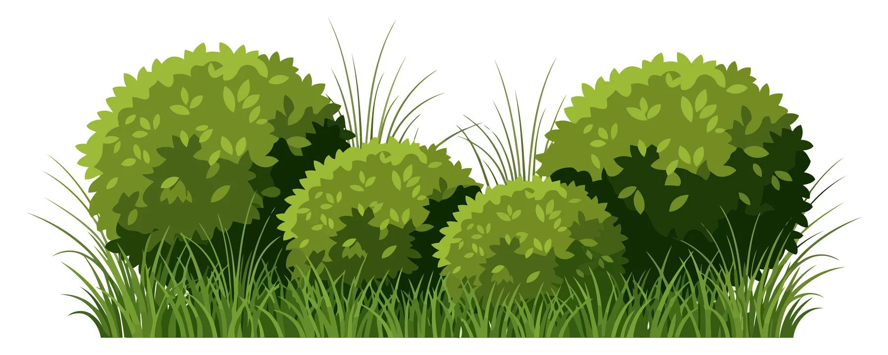 Green Bushes and Grass Vector Illustration