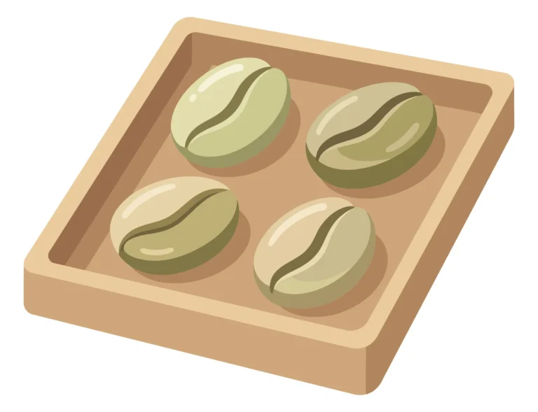 green coffee beans in tray