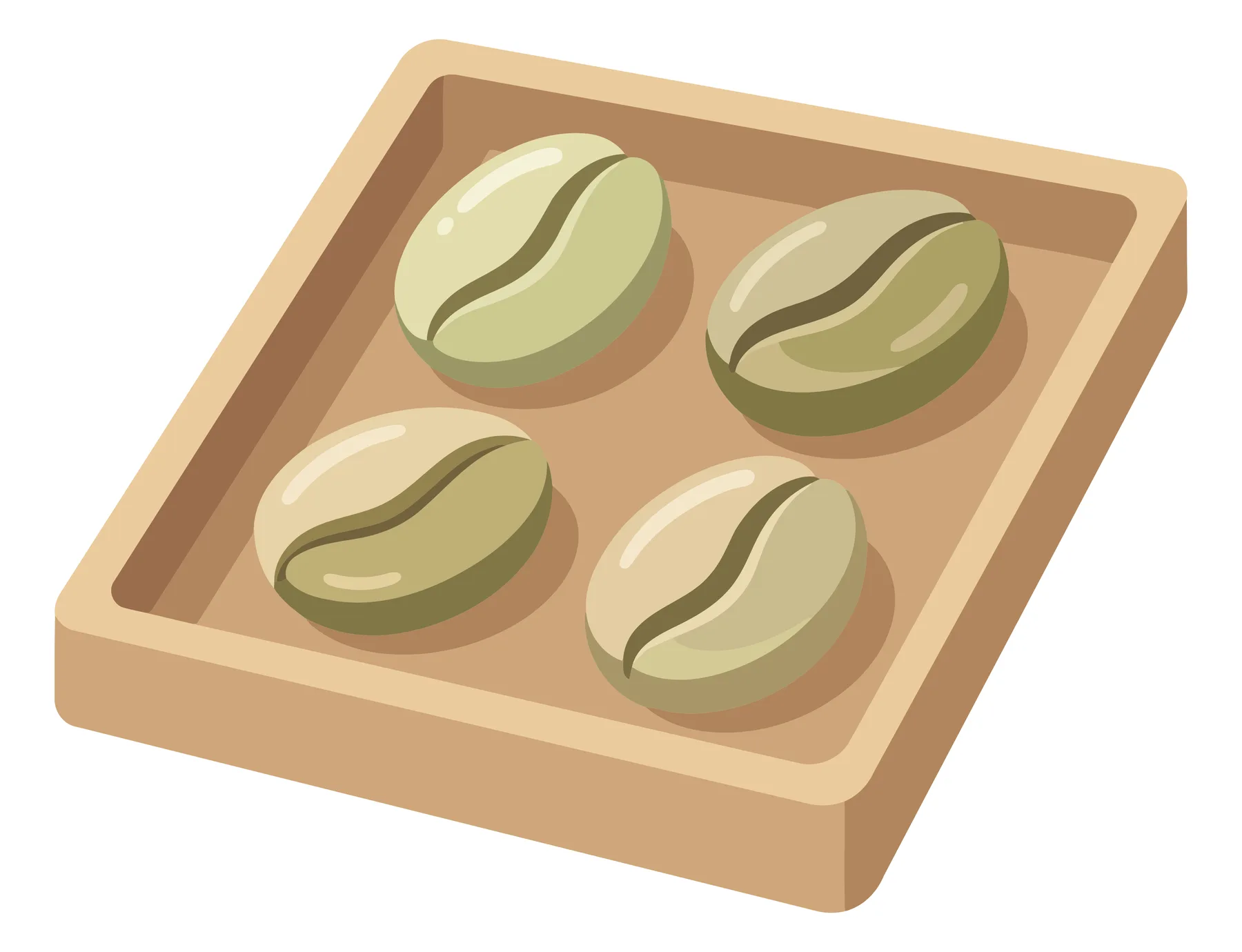 green coffee beans in tray