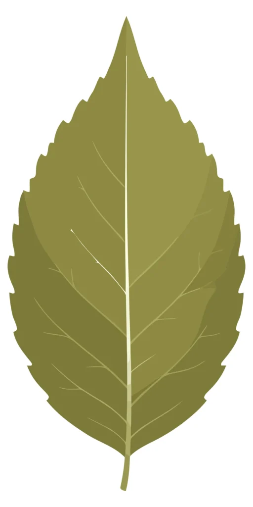 green leaf with detailed veins