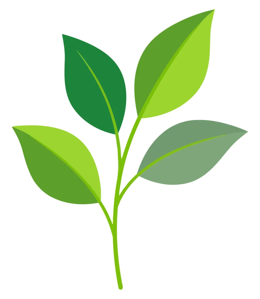 green leaves branch