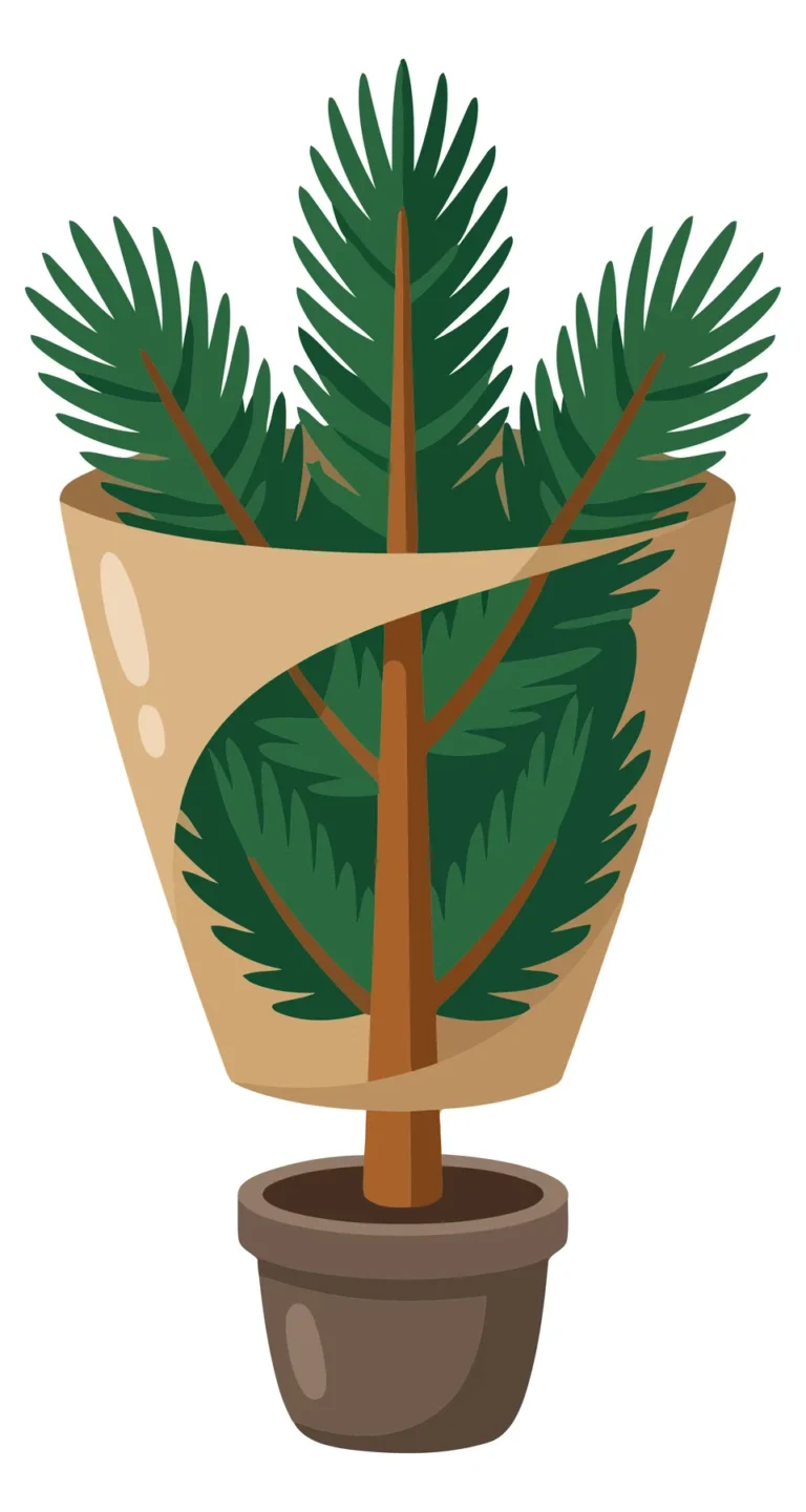 growing pine tree plant in a pot with wrapped protection