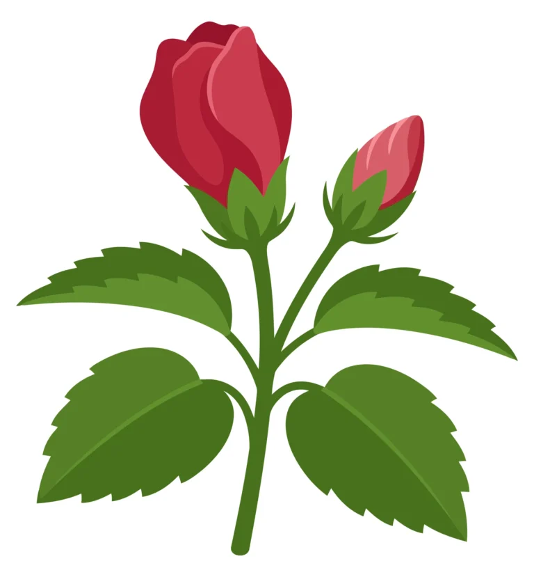 hibiscus plant branch with red buds and green leaves vector illustration isolated on white background
