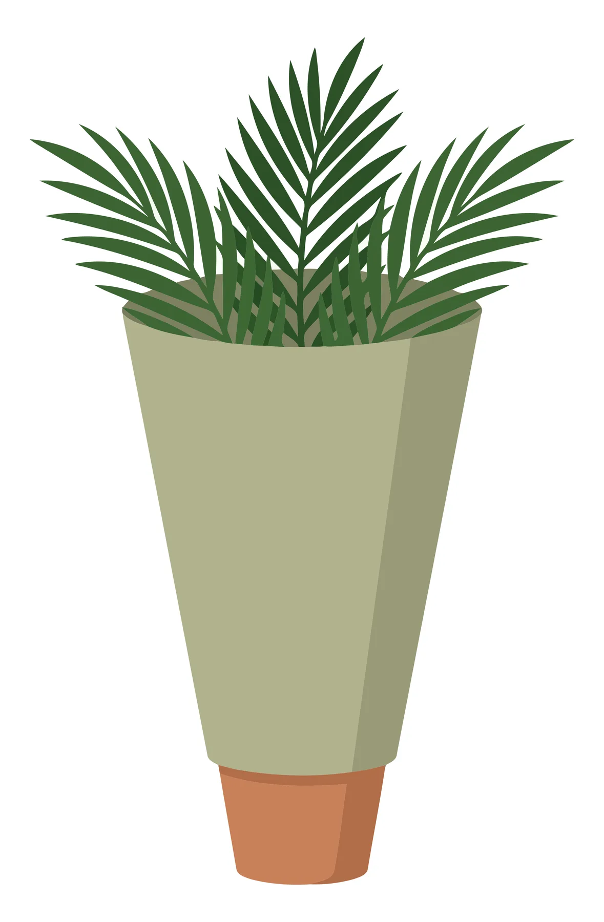 houseplant in a modern tall pot isolated on white background