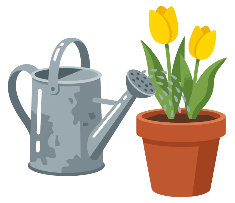 illustration of a metal watering can pouring water onto two yellow tulips planted in a terracotta flower pot, a charming gardening scene for