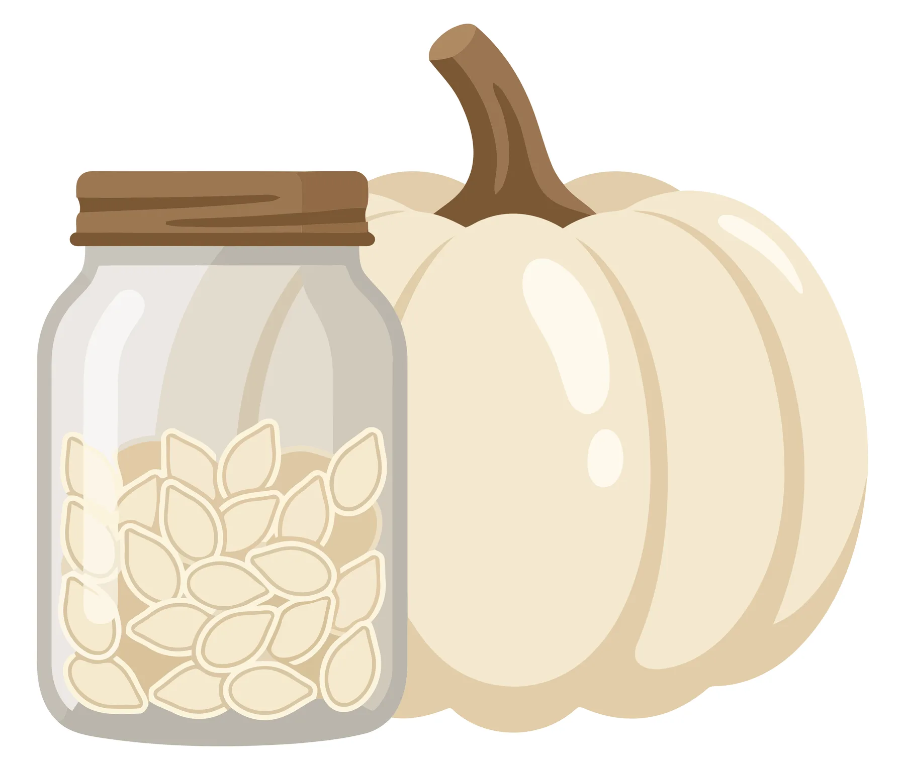 illustration of a white pumpkin next to a glass jar filled with pumpkin seeds, autumn harvest concept, seasonal vegetable and healthy snack,