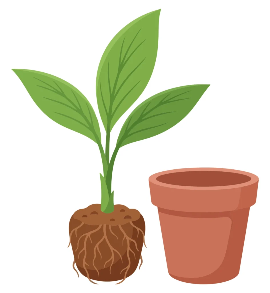 illustration of a young green plant with exposed roots and a terracotta flowerpot isolated on white background