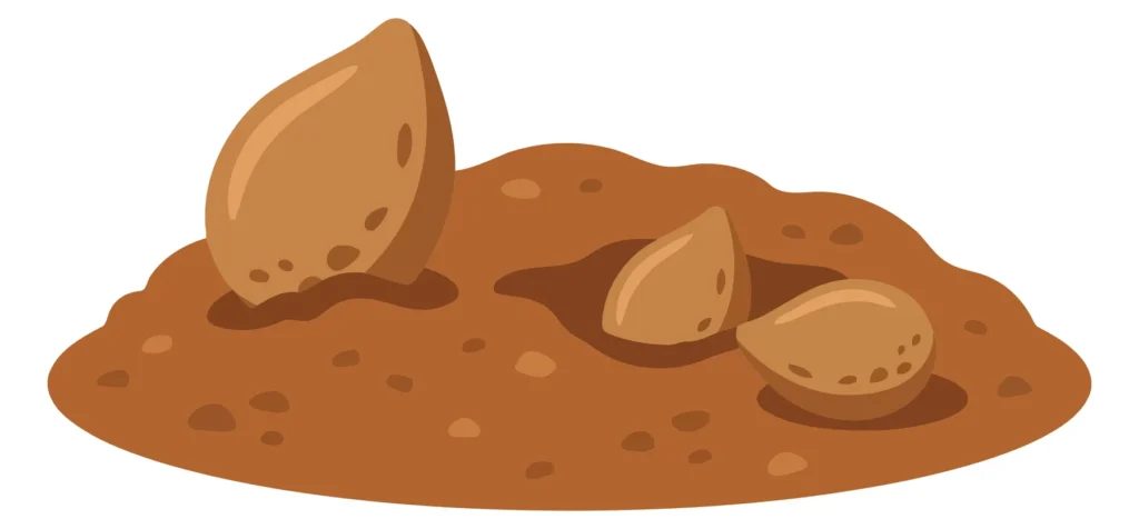 illustration of brown seeds or nuts planted in a pile of soil, representing gardening, agriculture, and nature themes