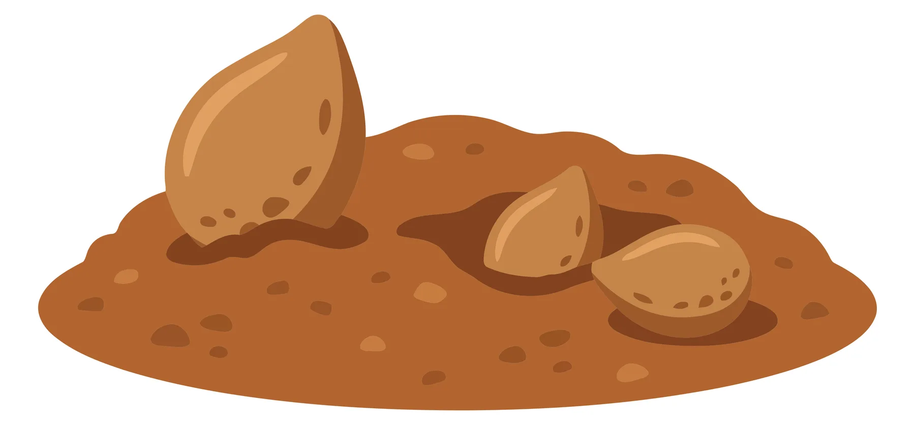 illustration of brown seeds or nuts planted in a pile of soil, representing gardening, agriculture, and nature themes