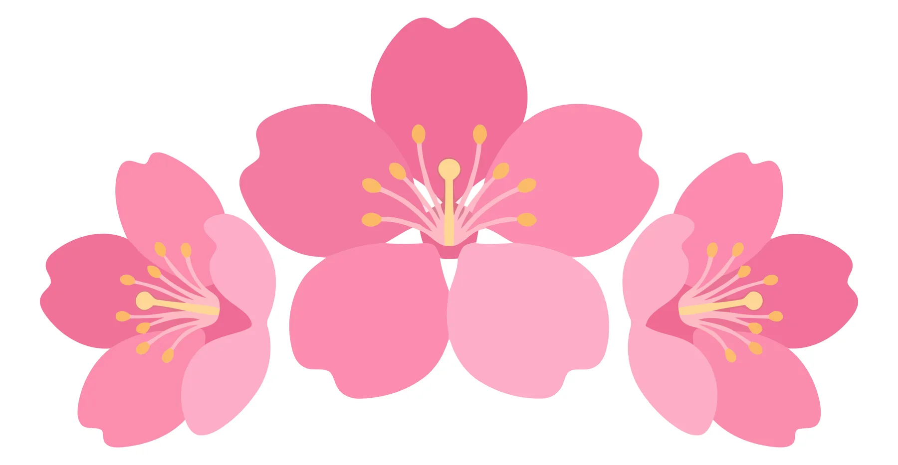 Three Pink Cherry Blossom Flowers Vector Illustration