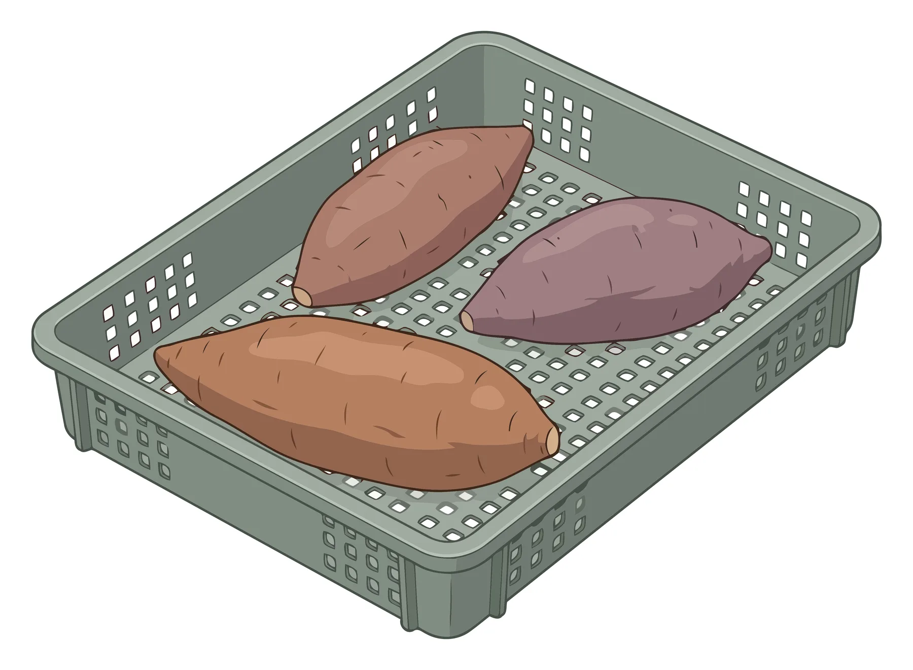 illustration of three raw sweet potatoes placed inside a grey plastic agricultural crate, isolated on white background