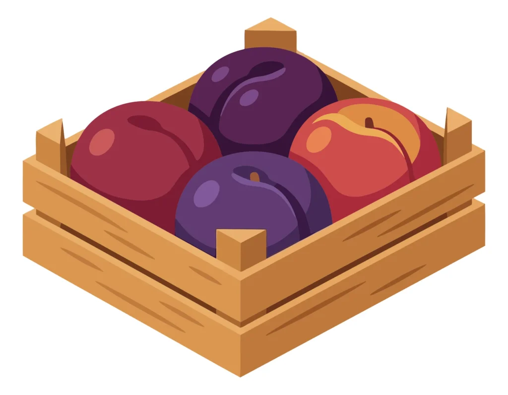 isometric wooden crate filled with fresh ripe purple and red plums isolated on white background