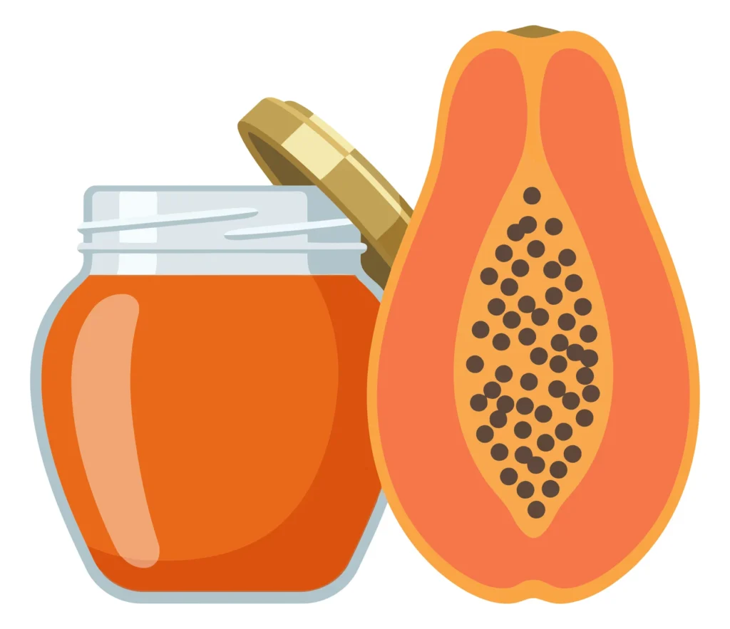 jar with jam and fresh sweet papaya fruit halved with seeds vector illustration