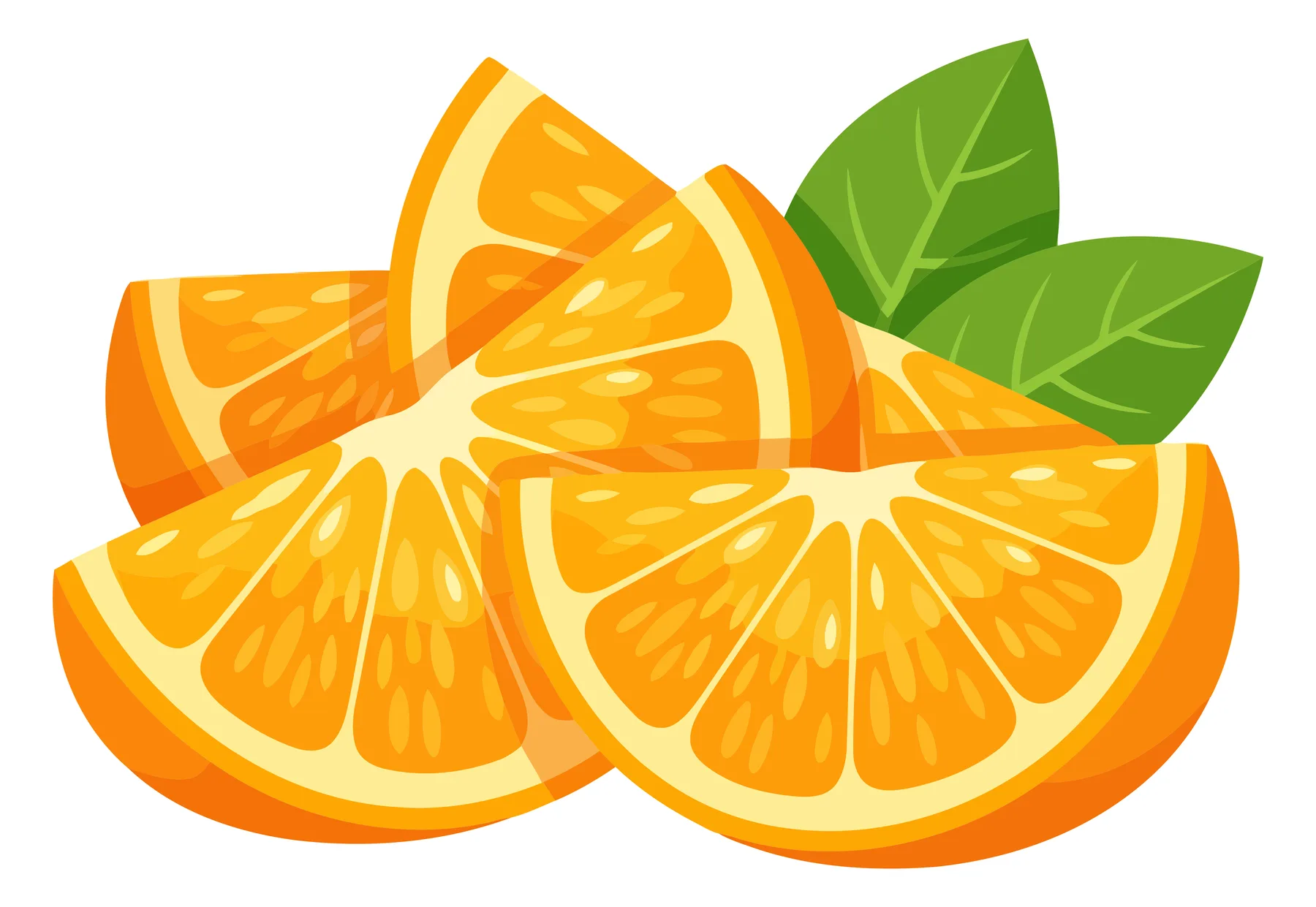 Fresh Orange Slices with Green Leaves Vector Illustration