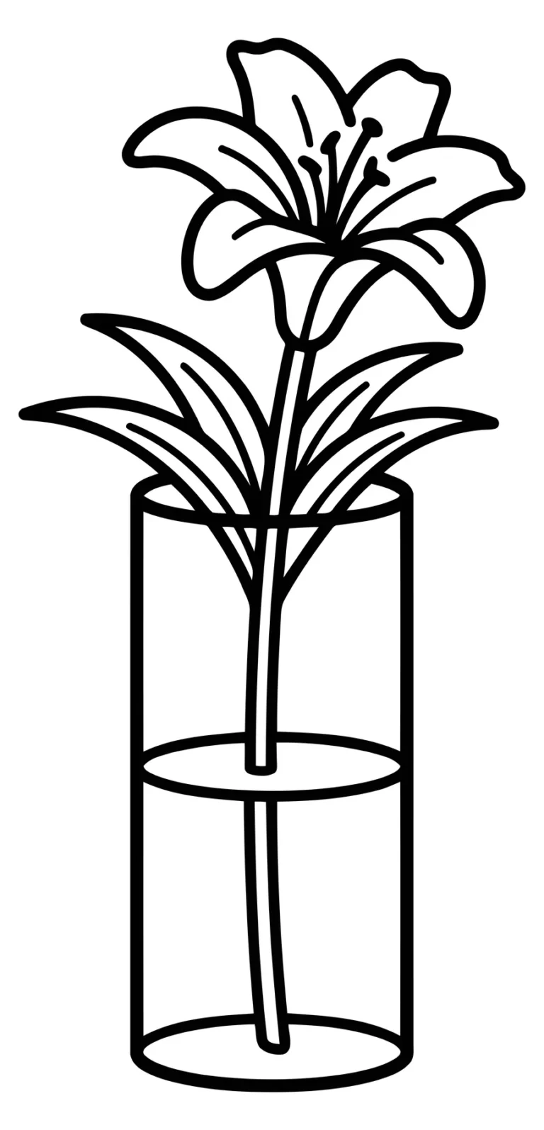 line art illustration of a lily flower in a glass vase