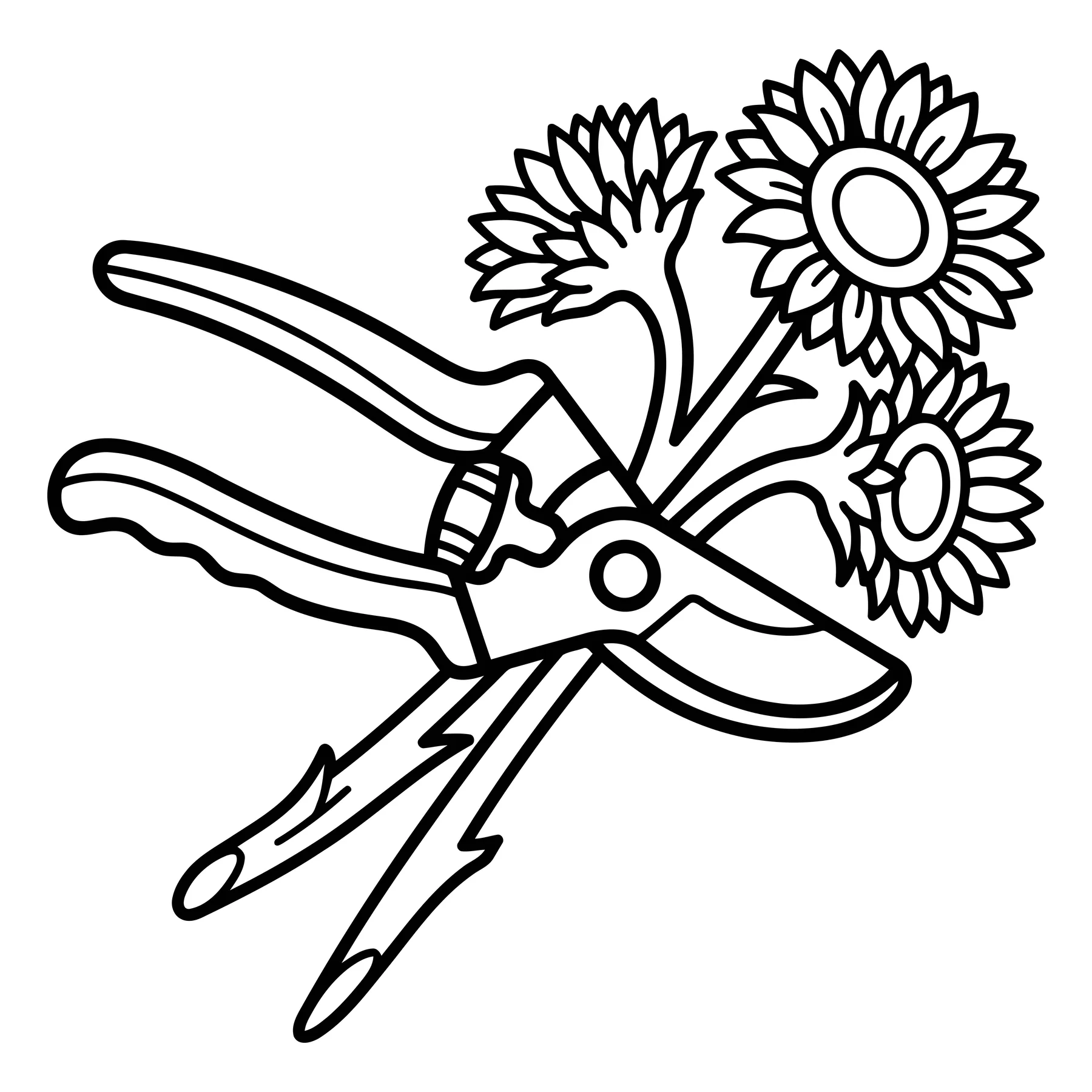 Line Art Garden Shears Pruning Sunflowers Illustration