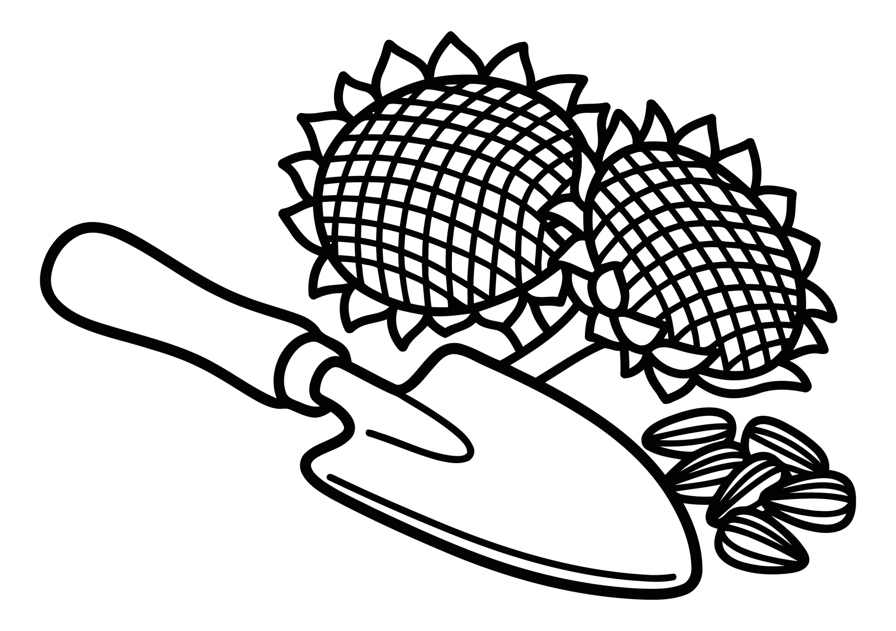 Sunflowers with Garden Trowel and Seeds Line Art