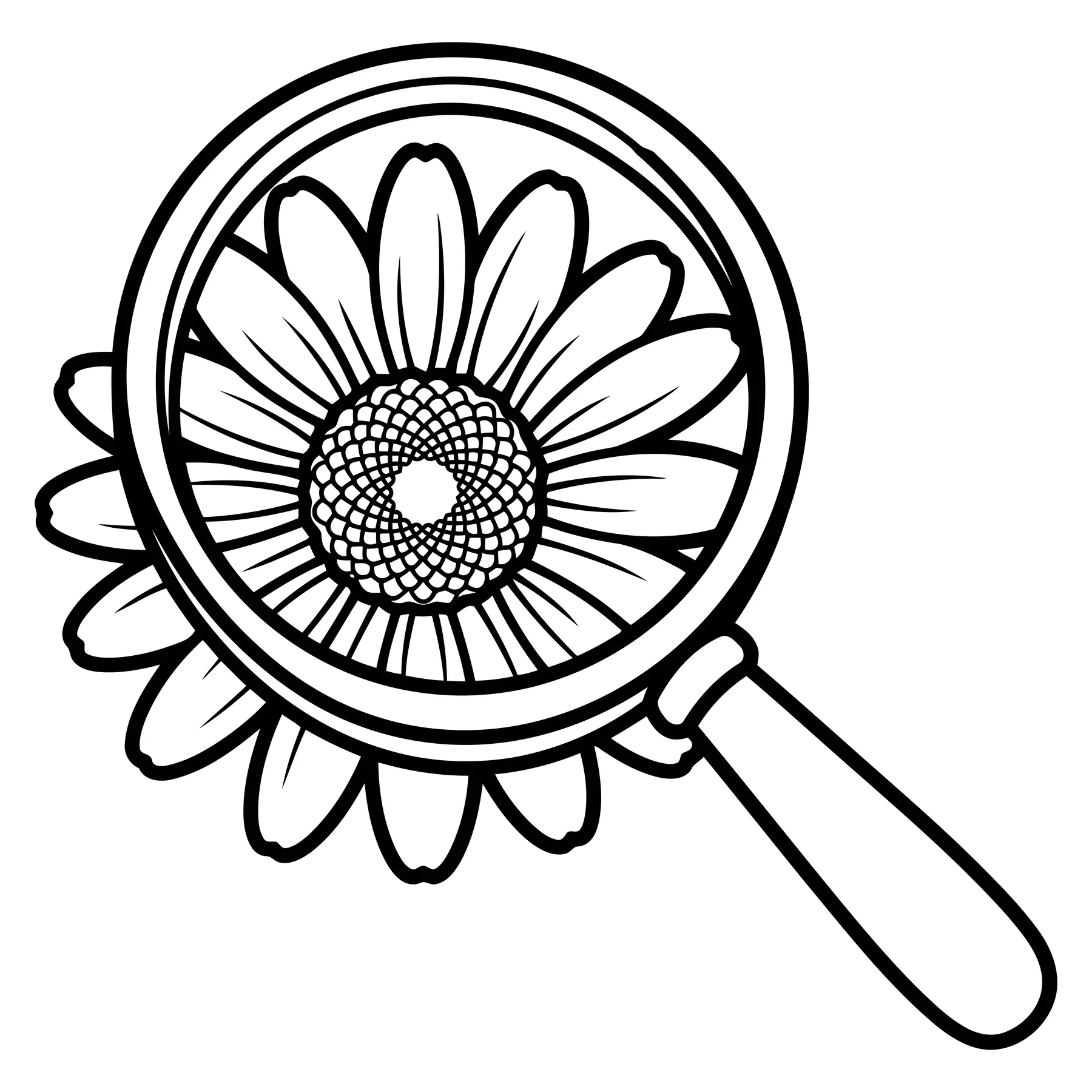 Magnifying Glass Examining a Daisy Flower Illustration