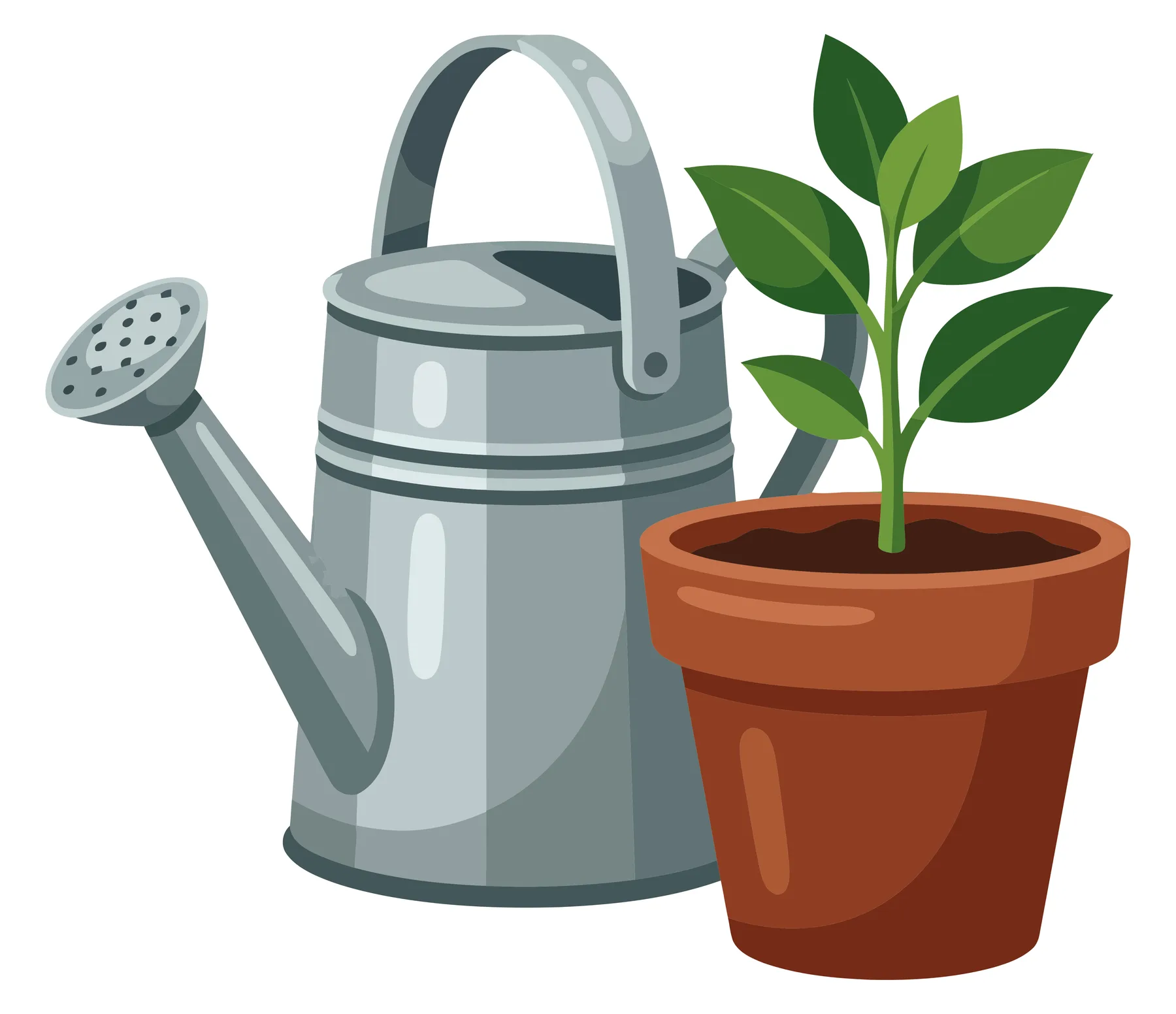 metal watering can and a green plant in a terracotta pot, gardening equipment for home plants and hobby gardening, flat vector illustration