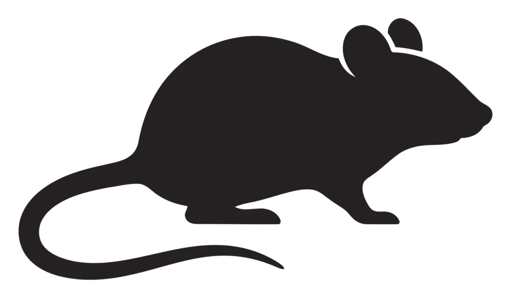 mouse icon