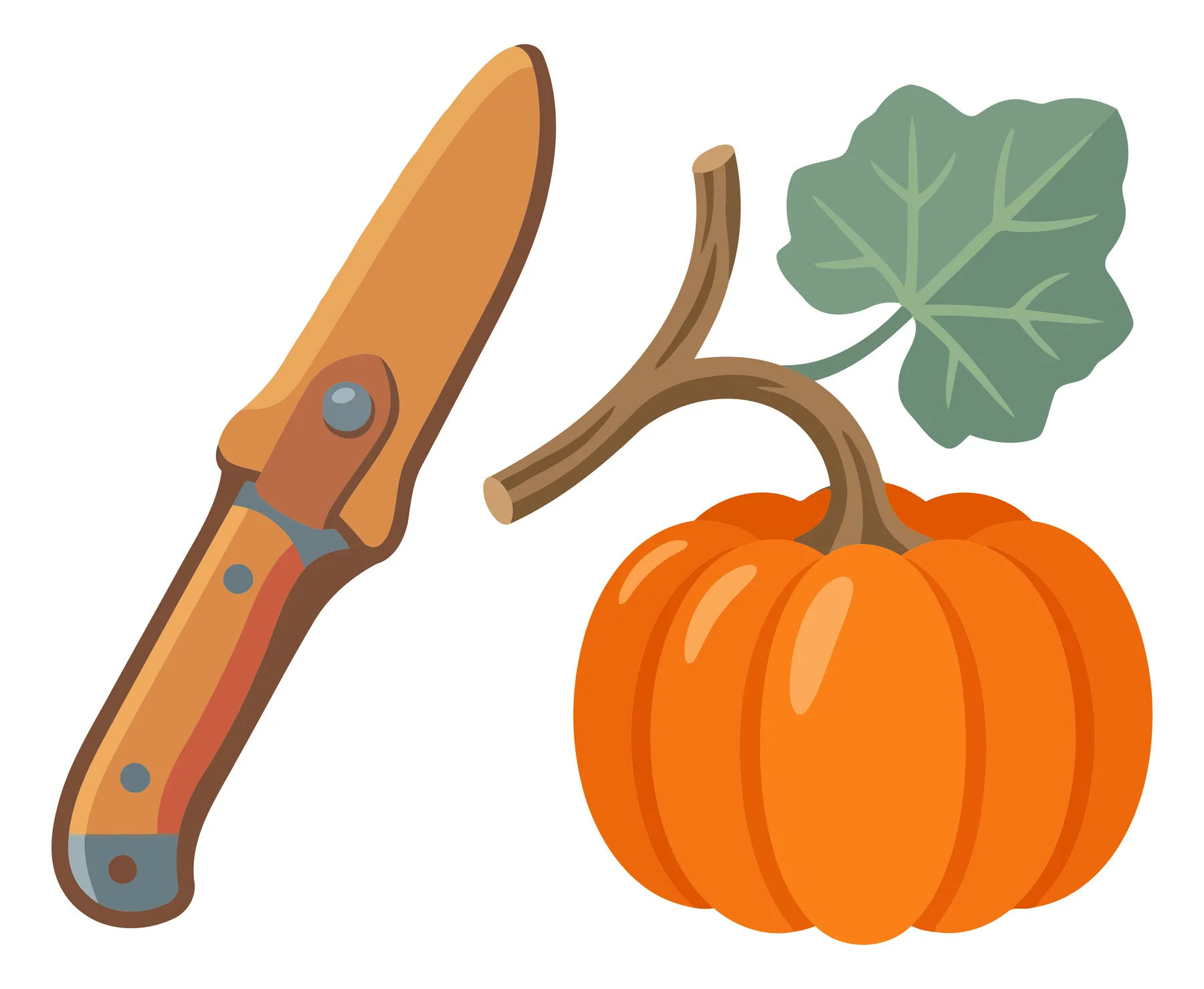 orange harvest knife and pumpkin with vine and leaf vector illustration