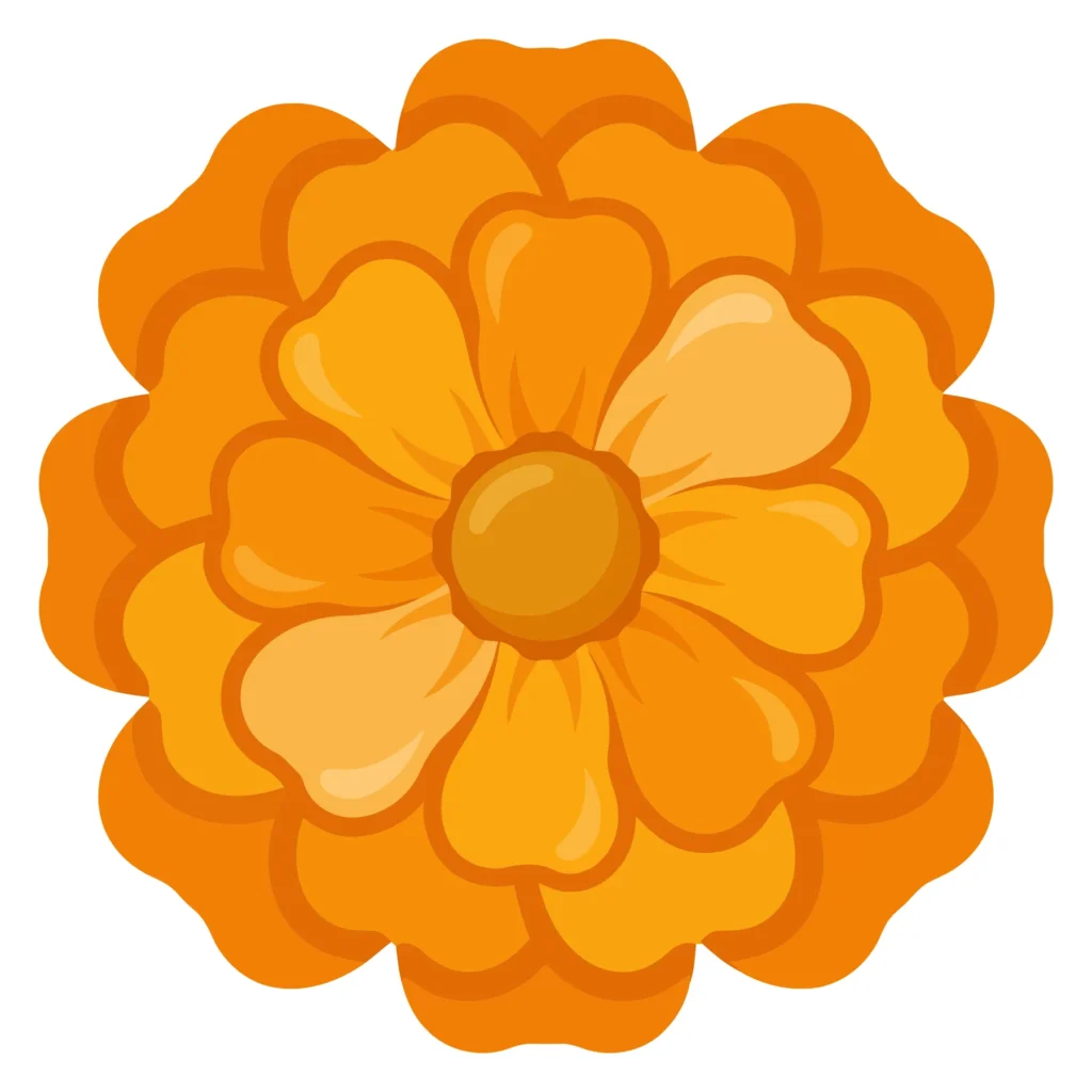 orange marigold flower head