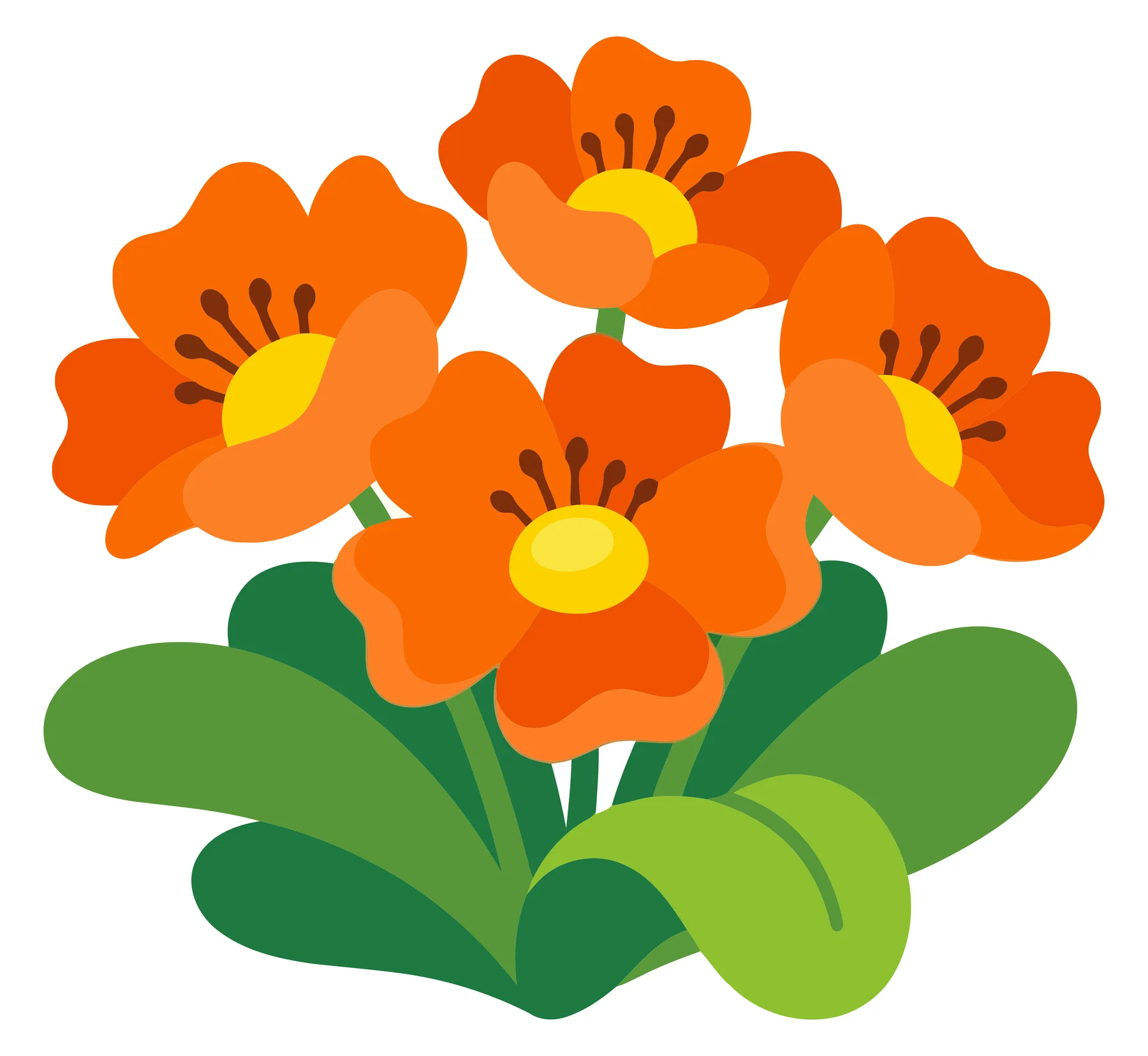 Bright Orange Primrose Flowers with Green Leaves Illustration
