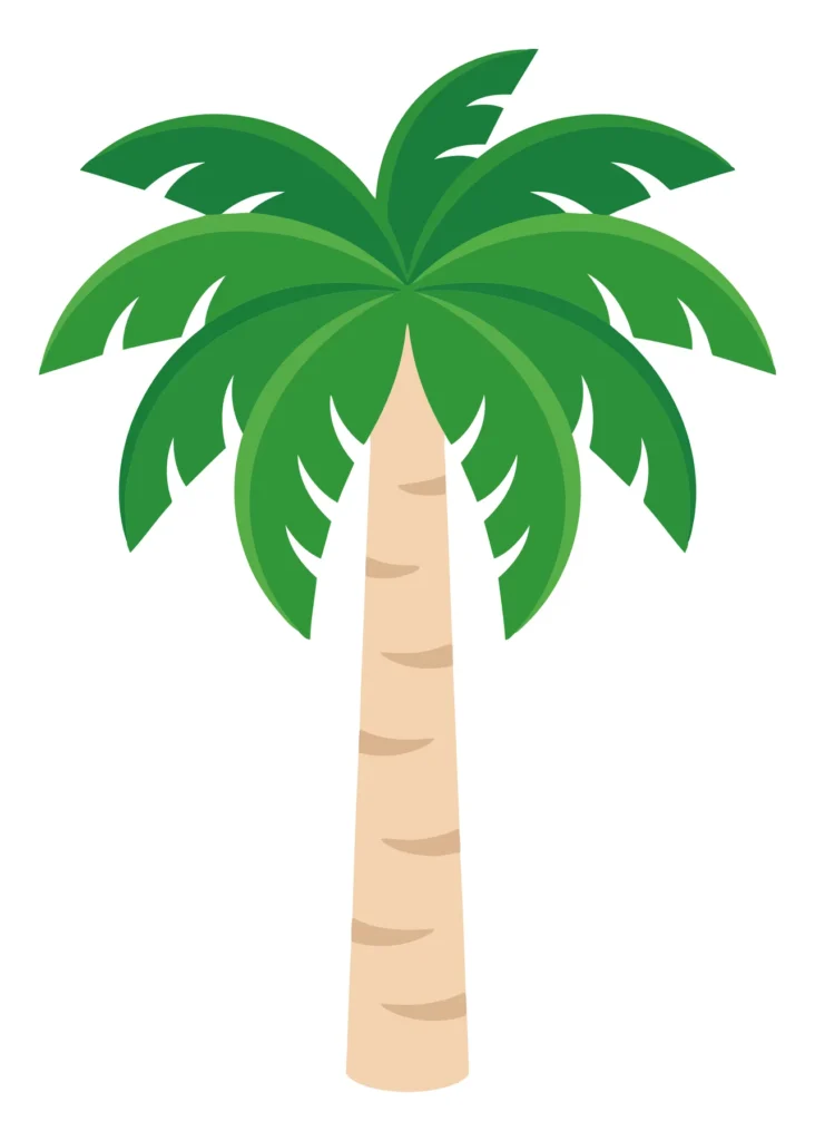 palm tree